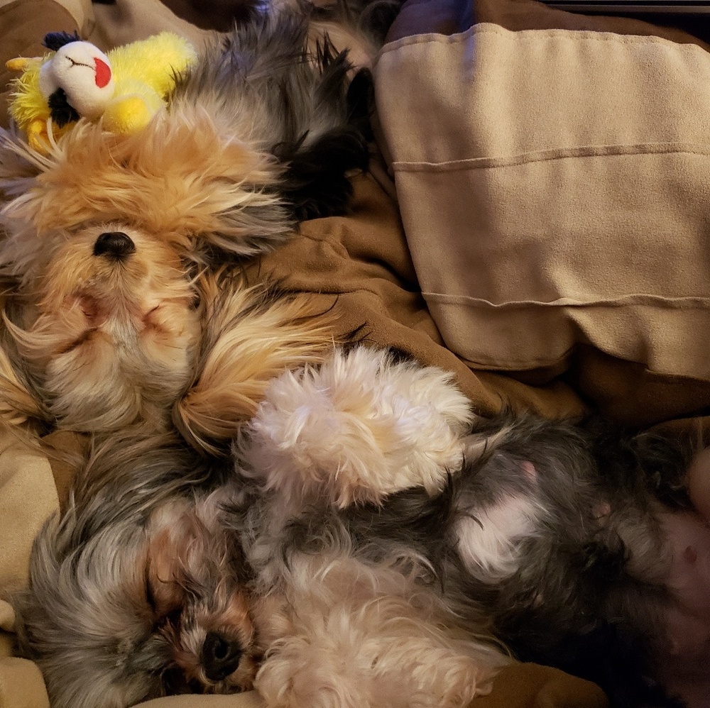 PLEASE READ - Picture 3 of 6